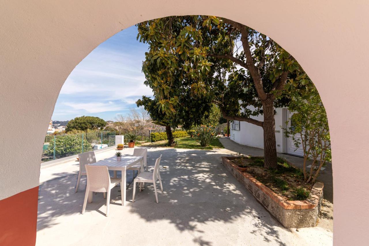 Casa Degli Aranci Villa Forio di Ischia Eksteriør bilde