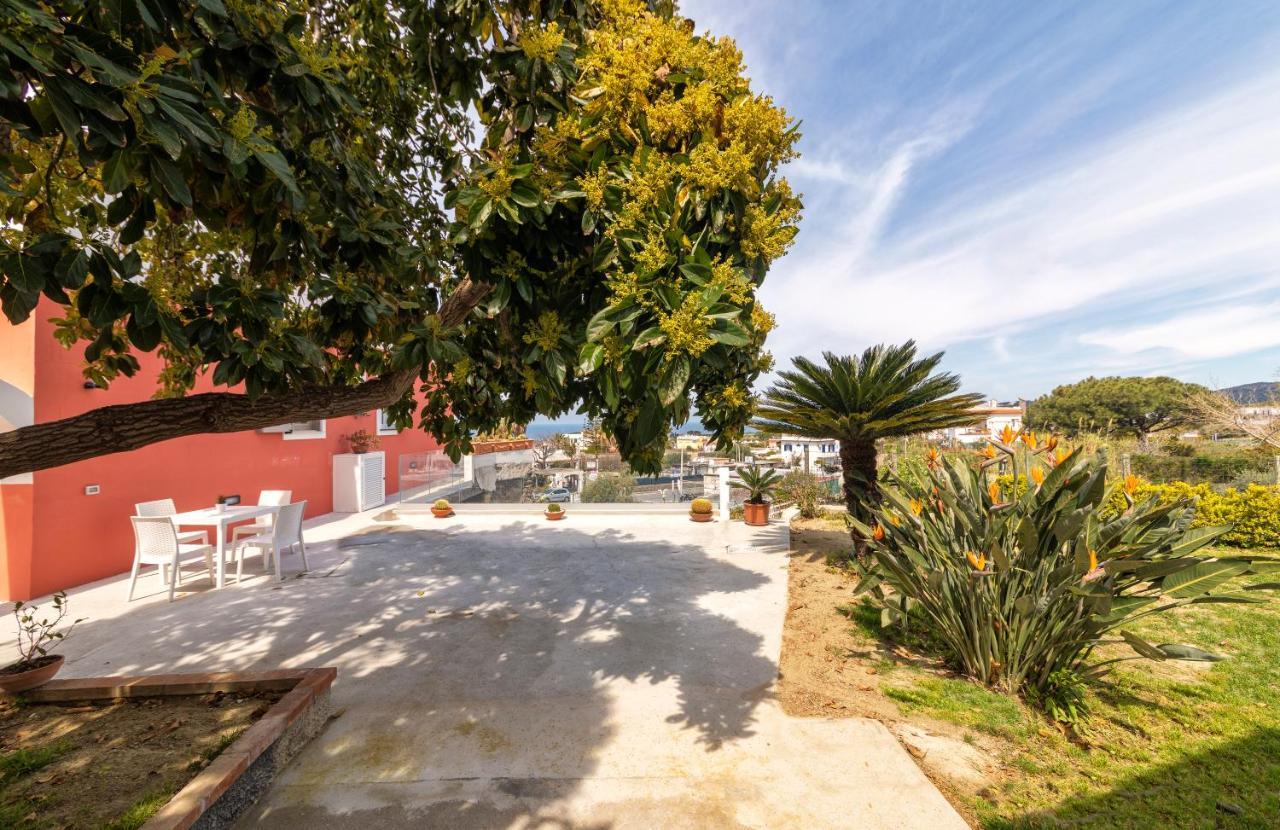 Casa Degli Aranci Villa Forio di Ischia Eksteriør bilde