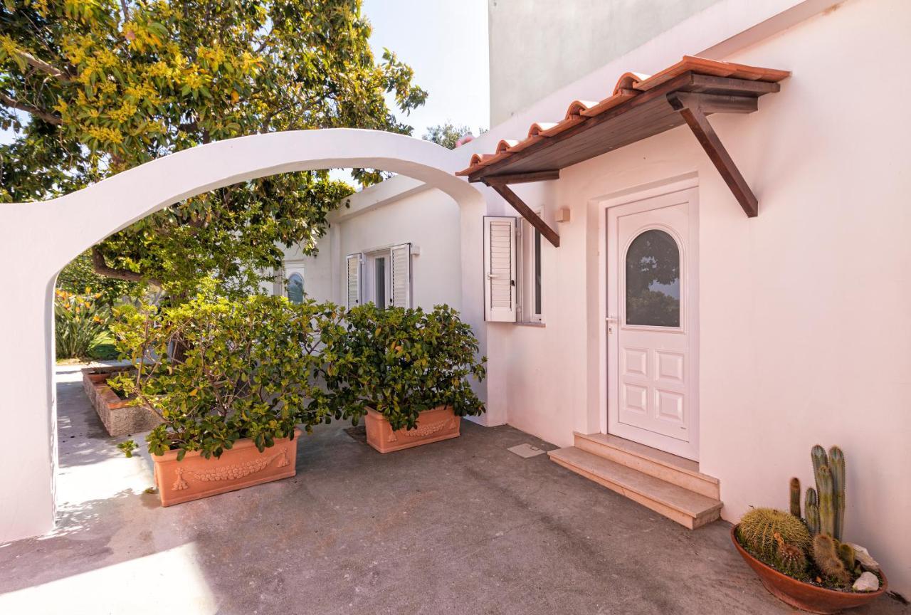 Casa Degli Aranci Villa Forio di Ischia Eksteriør bilde